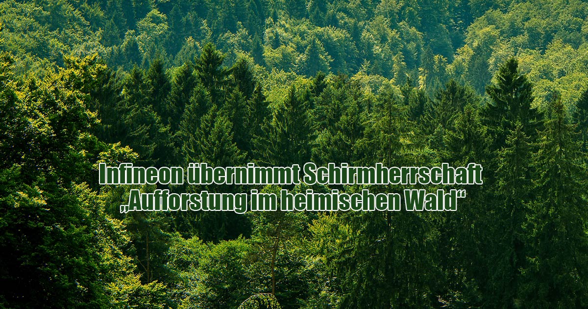 Infineon Schirmherrschaft Aufforstung Wald Warstein Totallokal