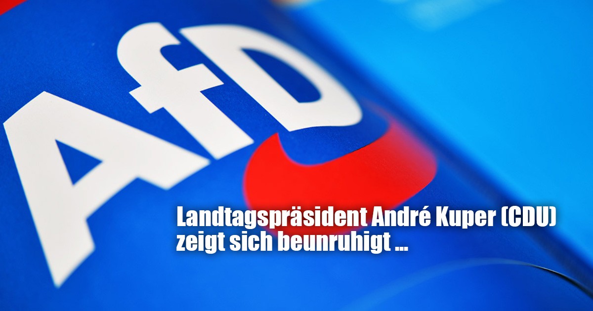 Afd Landtag