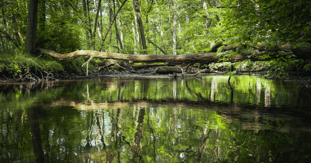 durch den Naturpark